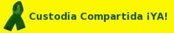 Custodia Compartida