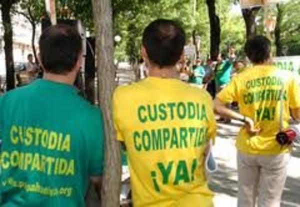 El Constitucional levanta la suspensión de la Ley de Custodia Compartida